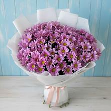 Букет цветов из:  Хризантемы в Ростовe-на-Донy