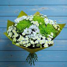 Букет скромность  в Ростовe-на-Донy Букет цветов из:  Хризантемы в Ростовe-на-Донy